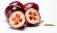 Cranberries - brusinky