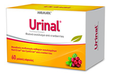 Urinal